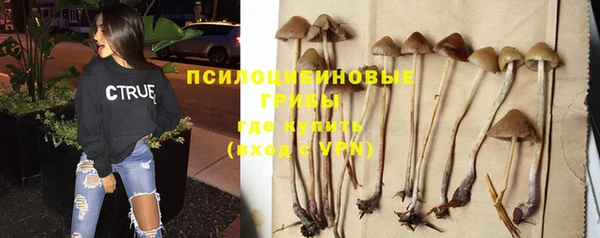 тгк Балахна